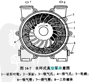 西藏楓樺木體育木地板安裝
