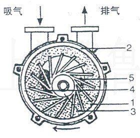 楓木運(yùn)動(dòng)木地板多少錢一平米？